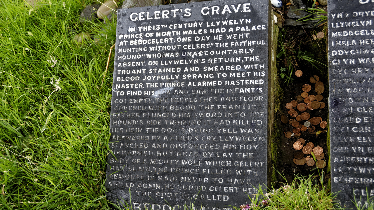 20170628 150157•Bedd Gelert•Wales